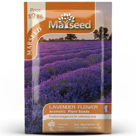 Herb Collection Spice Seeds, New / Old Packaging Ships Randomly