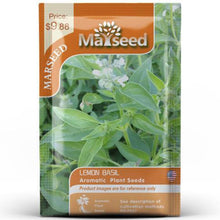 Load image into Gallery viewer, Herb Collection Spice Seeds, New / Old Packaging Ships Randomly, Cedarwood, Lemon Basil, Thyme