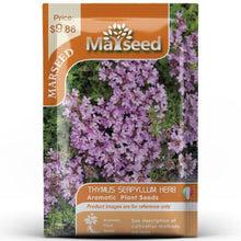 Load image into Gallery viewer, Herb Collection Spice Seeds, New / Old Packaging Ships Randomly, Cedarwood, Lemon Basil, Thyme