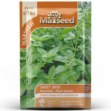 Load image into Gallery viewer, MARSEED Edible Sweet Basil Seeds Four Seasons Balcony Potted Herb Seeds, New / Old Packaging Ships Randomly
