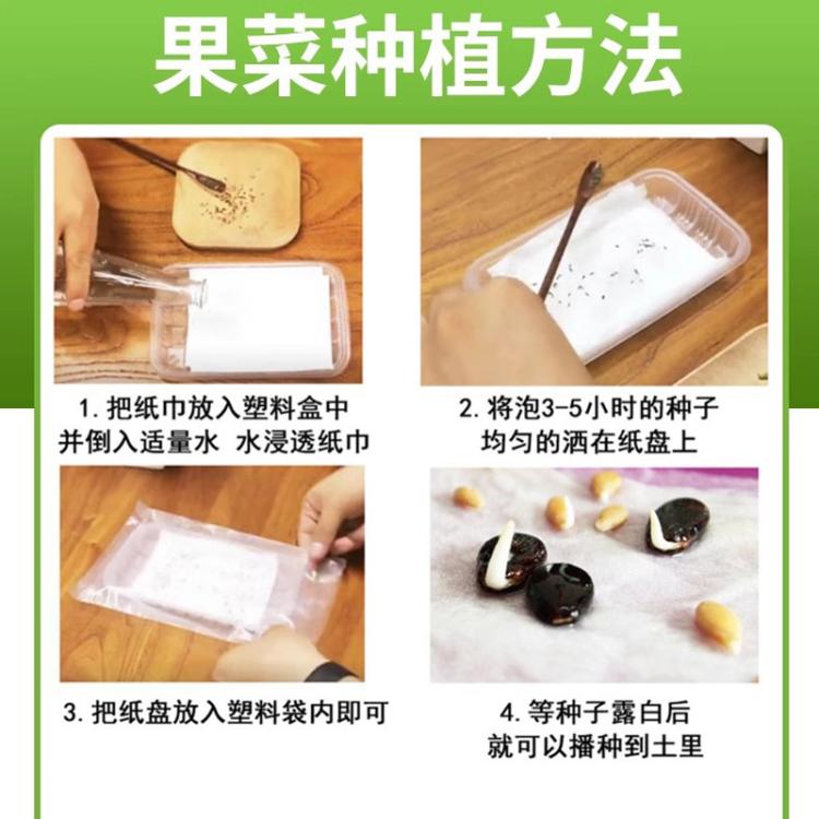 MARSEED 20-30pcs /Pack Potted Dwarf Pink Bird Tomato Seeds