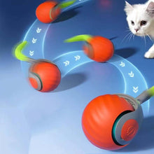 Load image into Gallery viewer, Smart Self Rolling Ball Interactive Cat Toys USB Rechargeable Cat Ball Two Speed Adjustment, TUTU Orange, TUTU Blue