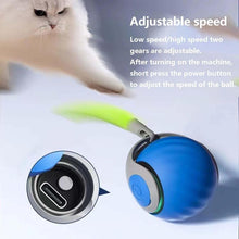 Load image into Gallery viewer, Smart Self Rolling Ball Interactive Cat Toys USB Rechargeable Cat Ball Two Speed Adjustment, TUTU Orange, TUTU Blue