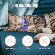 Load image into Gallery viewer, For AirTag 2nd Gen / AirTag 1st Gen Tracker Waterproof Protection Case Pet Leather Collar Anti Lost Cat Locator Collar
