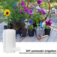 Load image into Gallery viewer, DIY Soil Moisture Detection Automatic Watering Pump Irrigation Kit, 1-Way