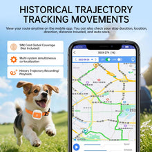 Load image into Gallery viewer, Real-Time GPS/WIFI Location SOS Distress Electronic Fence Alert Pet Collar