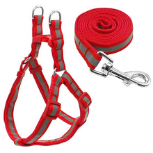 Load image into Gallery viewer, Small Medium Dogs Nylon Reflective Dog Leash Lead Set, S, M
