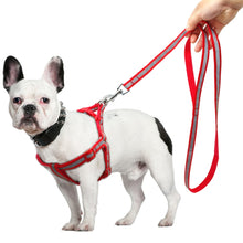 Load image into Gallery viewer, Small Medium Dogs Nylon Reflective Dog Leash Lead Set, S, M