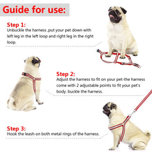 Load image into Gallery viewer, Small Medium Dogs Nylon Reflective Dog Leash Lead Set, S, M