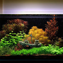 Load image into Gallery viewer, Pirate Ship Rotten Boat Small Net Boat Aquarium Landscaping Fish Tank Glass Cylinder Scene, Pirate Ship