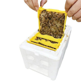 Bee Heading Box Foam Breeding Box Pollination Box, Bee Pollination Box