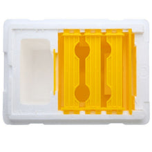 Load image into Gallery viewer, Bee Heading Box Foam Breeding Box Pollination Box, Bee Pollination Box