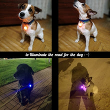 Load image into Gallery viewer, LED Flashlight Dog Cat Collar Glowing Pendant Luminous Bright Decoration Collars