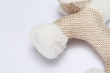 Load image into Gallery viewer, BU812 Dog Chew Toys Bite Resistant Dog Squeaky Interactive Pets Supplies