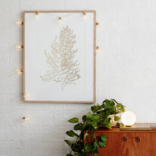 Load image into Gallery viewer, 3m 10 LEDs G45 Copper Wire Bulb String Holiday Decoration Light