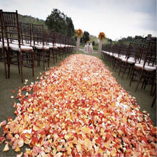 Load image into Gallery viewer, 1000pcs / Pack Artificial Wedding Rose Petals Flowers Wedding Decorations, Red, Wine Red, Magenta, Purple Red, Light Pink, Cream White, White, Dark Purple, Light Purple, Wine Red + Dark, Violet, Yellow, Sunset Red, Dark Blue, Light Blue, Lake Blue     ...