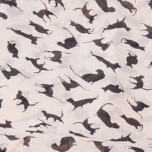 Load image into Gallery viewer, Ladies Cats Printed Chiffon Scarf, Length: 150cm x 60cm