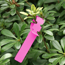 Load image into Gallery viewer, 100 PCS Gardening Plant Sapling Seed Hanging Tree Label, Plant Label 5 Yellow, Plant Label 5 Green, Plant Label 5 Blue, Plant Label 5 Red, Plant Label 5 White, Plant Label 5 Pink