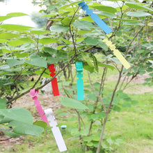 Load image into Gallery viewer, 100 PCS Gardening Plant Sapling Seed Hanging Tree Label, Plant Label 5 Yellow, Plant Label 5 Green, Plant Label 5 Blue, Plant Label 5 Red, Plant Label 5 White, Plant Label 5 Pink