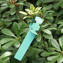 Load image into Gallery viewer, 100 PCS Gardening Plant Sapling Seed Hanging Tree Label, Plant Label 5 Yellow, Plant Label 5 Green, Plant Label 5 Blue, Plant Label 5 Red, Plant Label 5 White, Plant Label 5 Pink