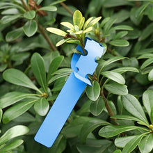 Load image into Gallery viewer, 100 PCS Gardening Plant Sapling Seed Hanging Tree Label, Plant Label 5 Yellow, Plant Label 5 Green, Plant Label 5 Blue, Plant Label 5 Red, Plant Label 5 White, Plant Label 5 Pink