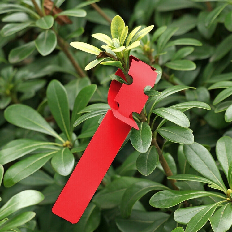 100 PCS Gardening Plant Sapling Seed Hanging Tree Label, Plant Label 5 Yellow, Plant Label 5 Green, Plant Label 5 Blue, Plant Label 5 Red, Plant Label 5 White, Plant Label 5 Pink
