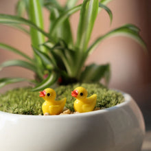 Load image into Gallery viewer, 5 PCS Mini Doll House Accessories Resin Three-dimensional Small Yellow Duck Plant Decoration, Yellow Duck Plant Decoration