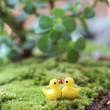 Load image into Gallery viewer, 5 PCS Mini Doll House Accessories Resin Three-dimensional Small Yellow Duck Plant Decoration, Yellow Duck Plant Decoration
