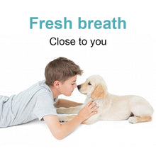 Load image into Gallery viewer, Pet Electric Toothbrush Tooth Polisher Oral Cleaning Plaque Removal Tool