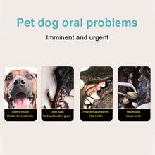 Load image into Gallery viewer, Pet Electric Toothbrush Tooth Polisher Oral Cleaning Plaque Removal Tool