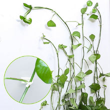 Load image into Gallery viewer, 10 PCS Lulu Climbing Wall Fixer Vine Climbing Wall Sticking Hook, 10pcs Small (White), 10pcs Medium (White), 10pcs Large (White)