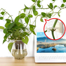 Load image into Gallery viewer, 10 PCS Lulu Climbing Wall Fixer Vine Climbing Wall Sticking Hook, 10pcs Small (White), 10pcs Medium (White), 10pcs Large (White)