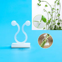 Load image into Gallery viewer, 10 PCS Lulu Climbing Wall Fixer Vine Climbing Wall Sticking Hook, 10pcs Small (White), 10pcs Medium (White), 10pcs Large (White)