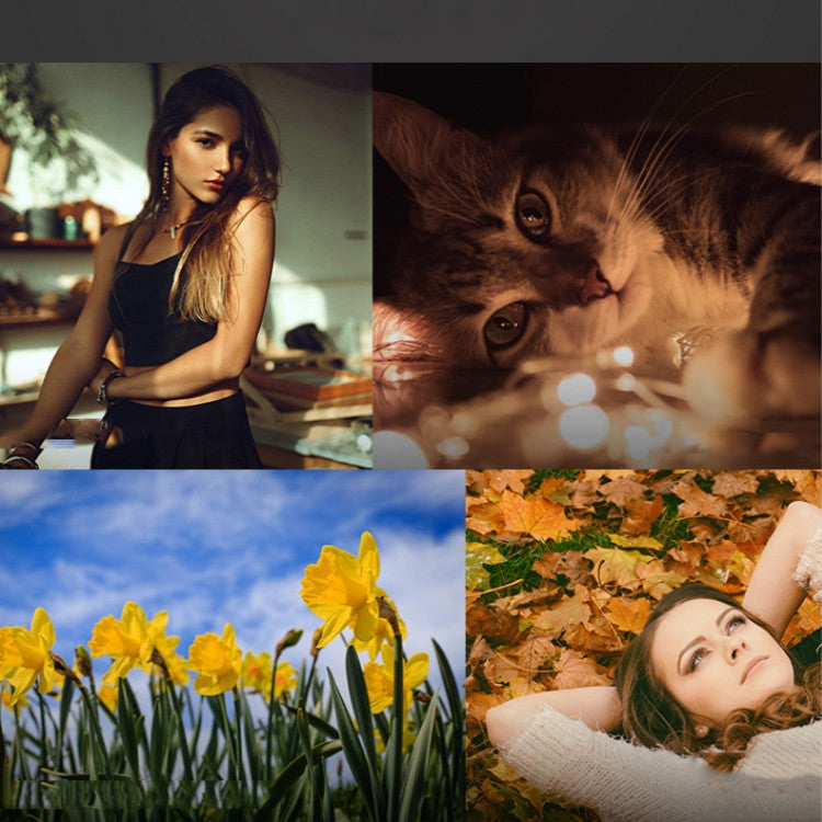 APEXEL APL-HB2X 2X Telephoto Lens Extended Professional HD External Mobile Phone Universal Lens