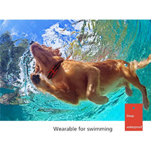 Load image into Gallery viewer, 500m Dog Training Bark Stopper Remote Control Electric Shock Waterproof Electronic Collar