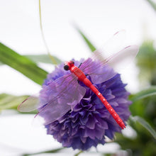 Load image into Gallery viewer, 4 PCS/Set Simulation Dragonfly Magnetic Refrigerator Stickers Home Wall Garden Decoration