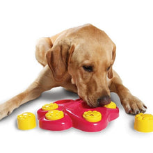 Load image into Gallery viewer, Pet Choke Slow Food Bowl Fun Treasure Hunting Pet Educational Toys, Pet Educational Toys