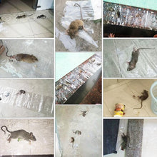 Load image into Gallery viewer, Anti-rodent Strong Sticky Board Transparent Sticky Mouse with Mousetrap Glue, Long Transparent
