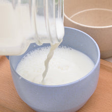 Load image into Gallery viewer, Wheat Straw Coffee Cup Tea Milk Breakfast Cups