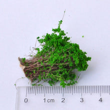 Load image into Gallery viewer, Artificial Handmade Model Material Sand Table Building Bush Flower Finished Flower