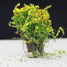 Load image into Gallery viewer, Artificial Handmade Model Material Sand Table Building Bush Flower Finished Flower