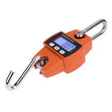 Load image into Gallery viewer, 300kg x 100g Portable LCD Digital Stainless Steel Hook Mini Electronic Hook Scale, 300kg x 100g