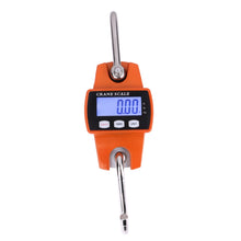 Load image into Gallery viewer, 300kg x 100g Portable LCD Digital Stainless Steel Hook Mini Electronic Hook Scale, 300kg x 100g