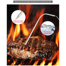 Load image into Gallery viewer, TS-6601-2 Kitchen Baking Touch Digital Double-Needle Color Screen Food Thermometer, TS-6601-2