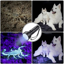 Load image into Gallery viewer, 51 LEDs 395nm UV LED Flashlight, Support Detect Pet Urine
