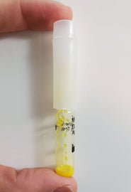 Test Kit Plus Cocaine Cuts Test Kit