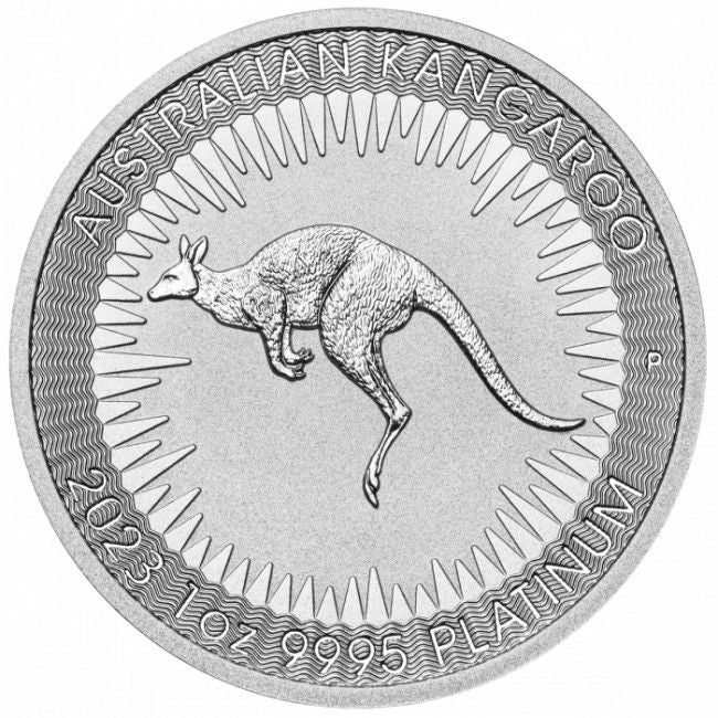 Australian Kangaroo 2023 1oz Pure 0.999 Silver Coin in Capsule