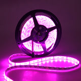 Techme 12V 5M Cuttable Pink LED Strip Lights