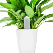 Load image into Gallery viewer, HHCC 4 in 1 Plant Flower Care Smart Monitor Mihuis
