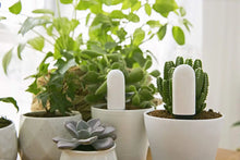 Load image into Gallery viewer, HHCC 4 in 1 Plant Flower Care Smart Monitor Mihuis